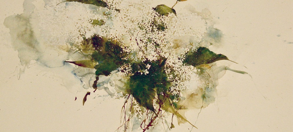 Randall Hidgon - Lilacs Immersed in White